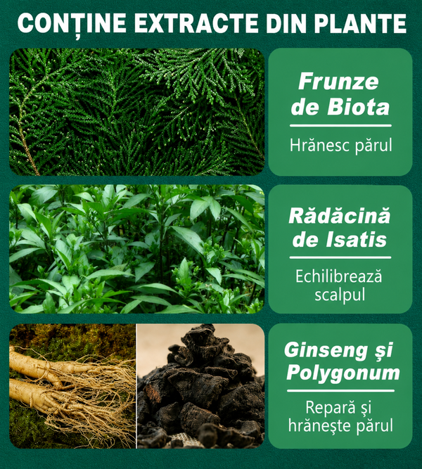Bară Șampon Verde Finturo